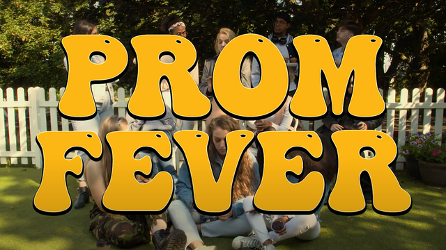 The Prom Fever Trailer